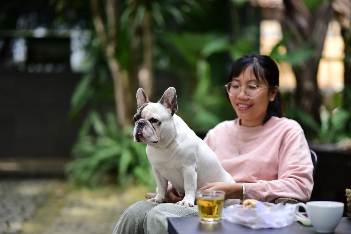犬と入れるカフェのイメージ